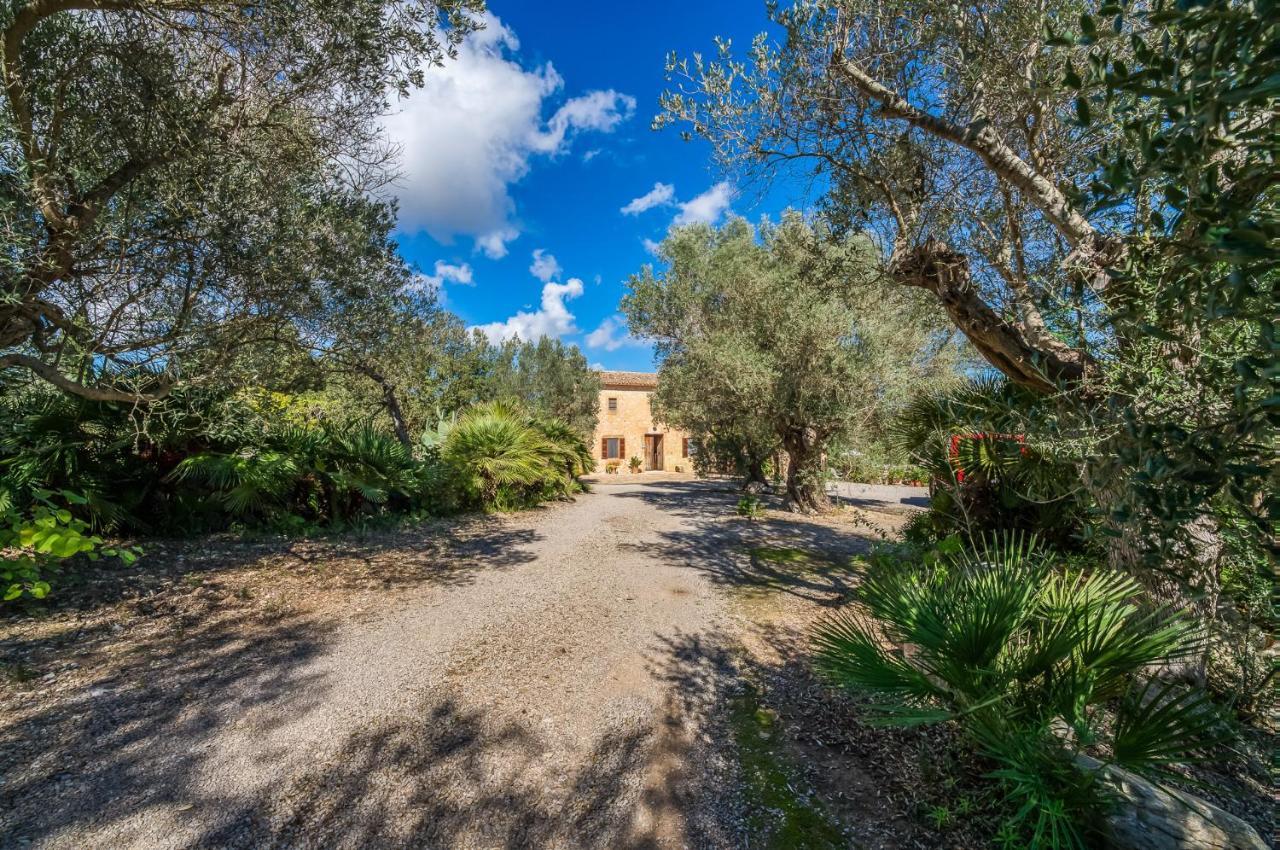Finca Son Gener Can Teula Son Servera  Exteriér fotografie